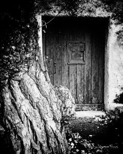 Tree and a Door Johannes Frankl