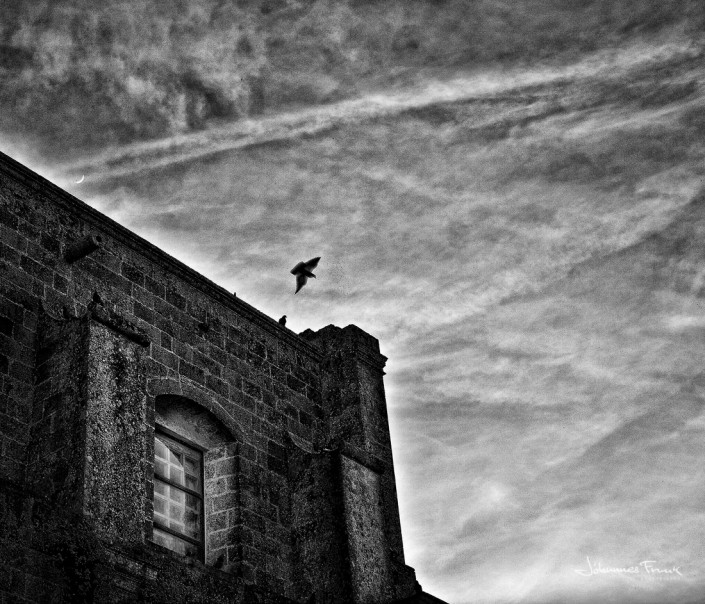 dove fly from a building in Martinagano johannes frank