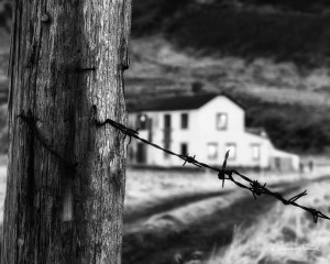barbwire with abandoned house at sveinseyri