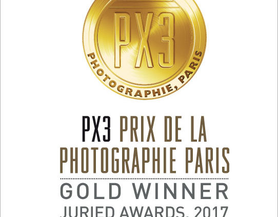 gold award Px3 johannes frank
